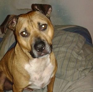 Meet your Posher, James